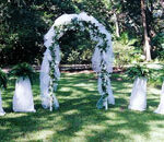 wed0012S.jpg