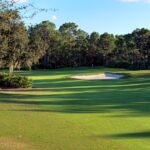 Cypress-Head-5.jpg