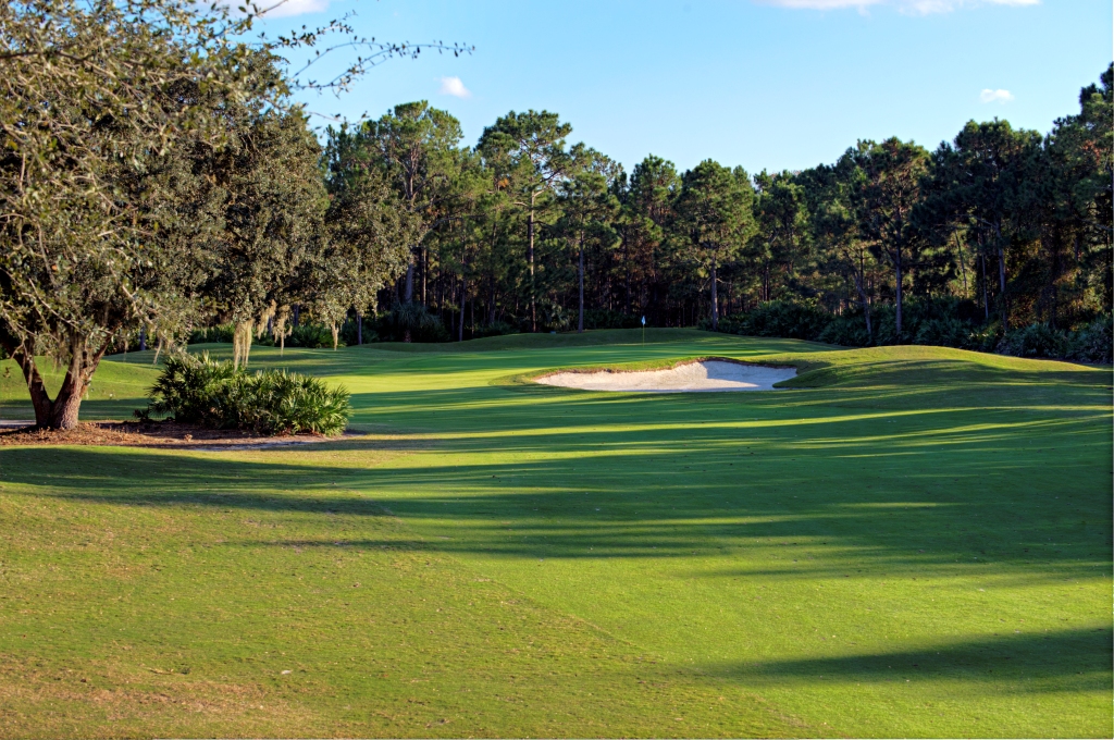 Cypress-Head-5.jpg
