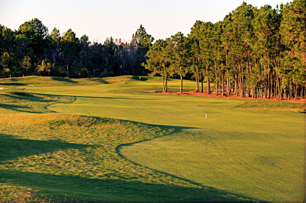 Cypress-Head-18.jpg