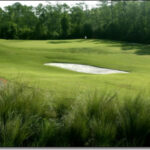 HoleInone1.jpg