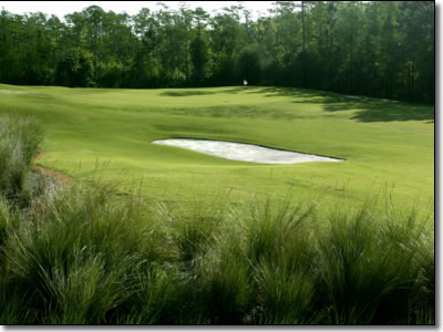 HoleInone1.jpg