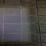IMG_0097-318x216-1.jpg