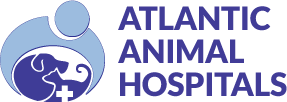 logo1.png