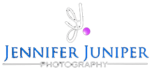logo-11.png