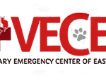 logo-13.png