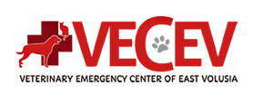 logo-13.png
