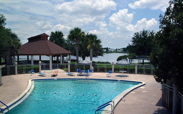the-pool.jpg