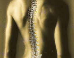 chiropractor.jpg