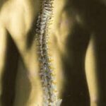 chiropractor-4.jpg
