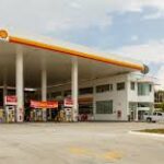 shell14-1.jpg