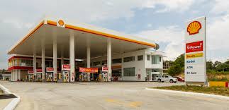 shell14-1.jpg