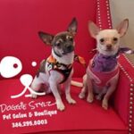 doggie-styles1.jpg