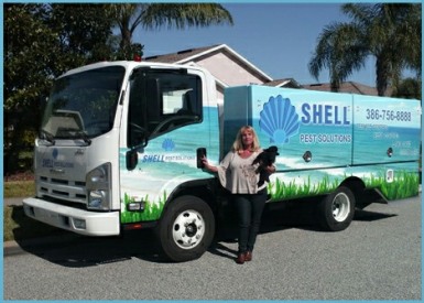 shell-pest1.jpg