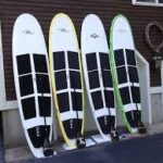 muzzle-paddleboards.jpg