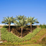 rj-landscaping1.jpg