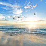 sea-creations1.jpg