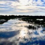 lake-wetland11.jpg