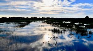 lake-wetland11.jpg