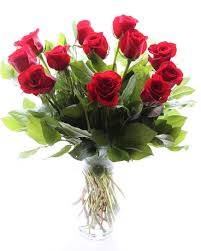 simply-roses.jpg