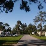 rose-bay-camp.jpg