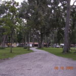 nove-camp.jpg