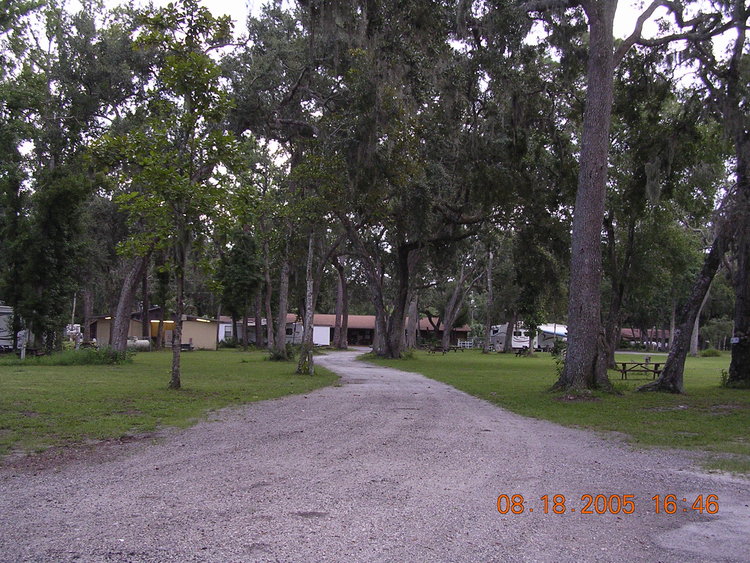 nove-camp.jpg
