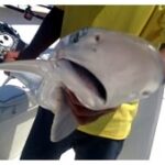 225-daytona-fishing-5.jpg
