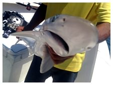 225-daytona-fishing-5.jpg