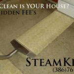 steam-king-2.jpg