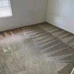 carpet-cleaning-c-d-services.jpg.webp