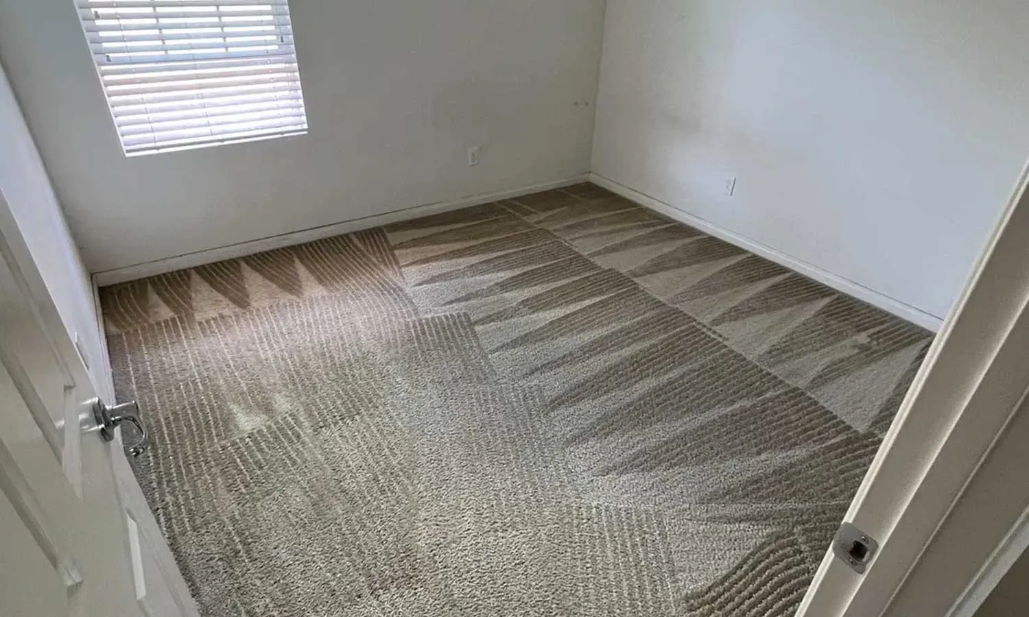 carpet-cleaning-c-d-services.jpg.webp