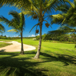 Reliable-Commercial-and-Residential-Lawn-Care-and-Landscaping.png